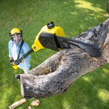 Best Hazardous Tree Removal  in Pelham Manor, NY