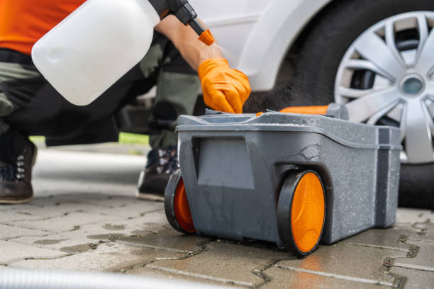 Best Tree Removal  in Pelham Manor, NY